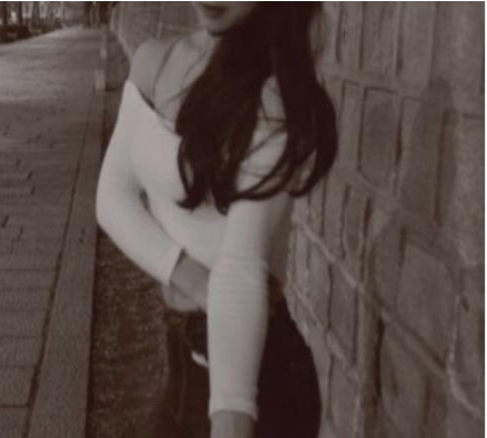 独家合集：Onlyfans伪娘TS闺蜜ljy14.8G高清视频！