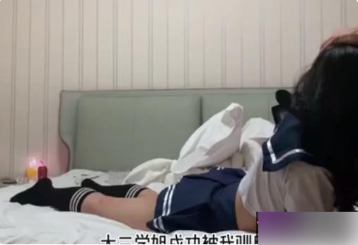 91大神：尽情享释嫔人视频的终极合集！