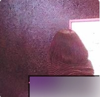 绝对奇妙！推特小姐姐带你进入喔彩虹的世界