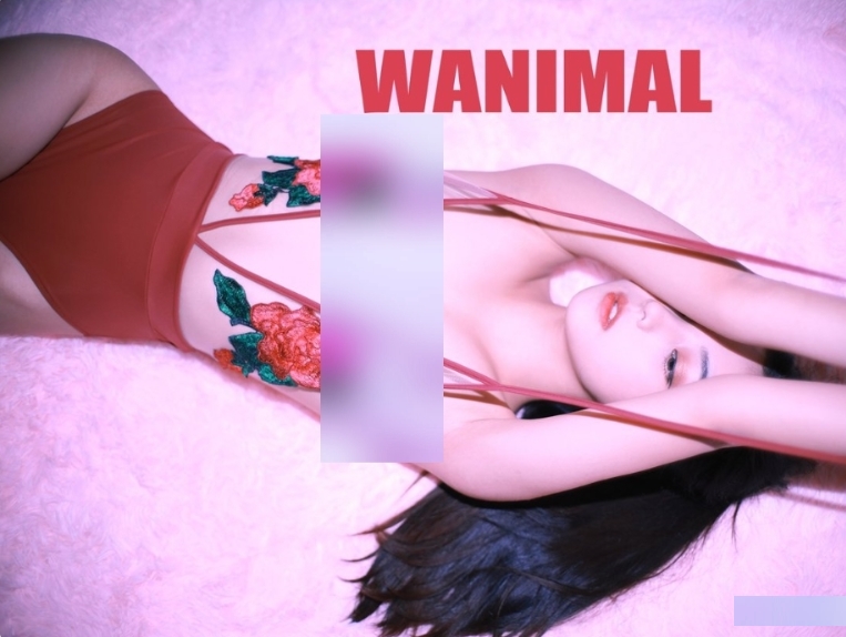 Qinweiyingjie:捷哥的稀缺资源，25部合集，限时独家推出！