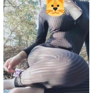 网红橘猫自拍合集