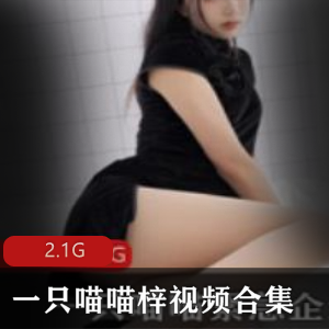 黑丝写真视频合集