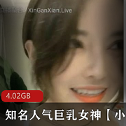 小雅的高颜收费房间是一款知名的醉酒佳作