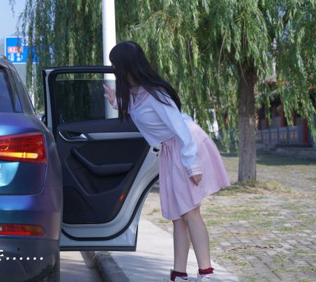 恶意搭讪者将女性拖上车并暴力对待，女性醒来时发出呼救声