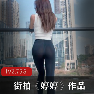 街拍婷婷的作品