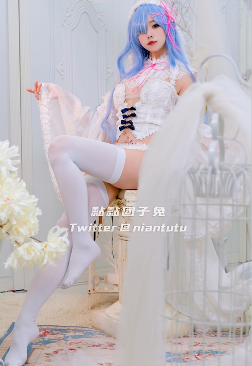 自行打包的黏黏团子兔雷姆的B站UP主的41P图片集，大小为660M，可通过百度盘下载。