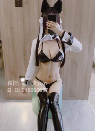 推特香草少女九尾狐狸合集