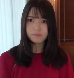 商品标题FC两部游戏合集1.69G2V版本百度云下载