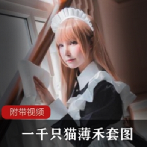 猫薄禾四套作品