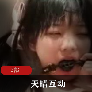 天晴互动作品合集，包含3部作品