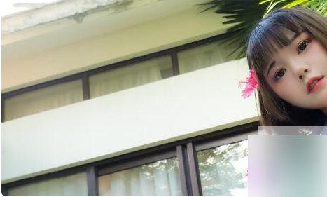 肉肉视频和图集