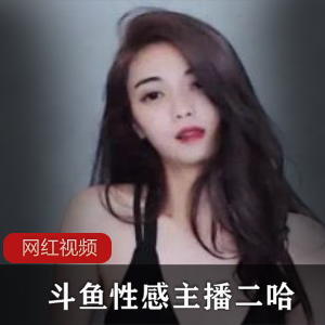 斗鱼主播二哈的私人定制作品