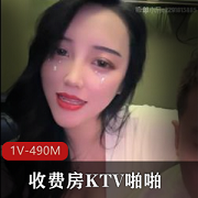 收费房KTV