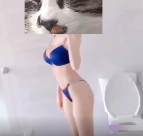 久妖大神：网红女主播长腿黑丝超美小仙女