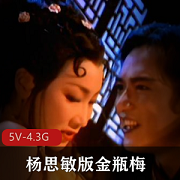 杨思敏版金瓶梅5集全5V4.3G