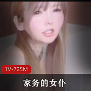 女仆家务助手，无线直接控制，1V-725M