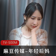 年轻后妈1V-500M传媒商品