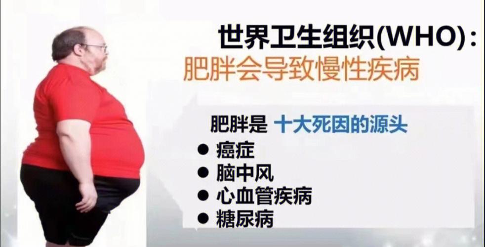 新书推荐:抗衰老科学与长寿的健康产业