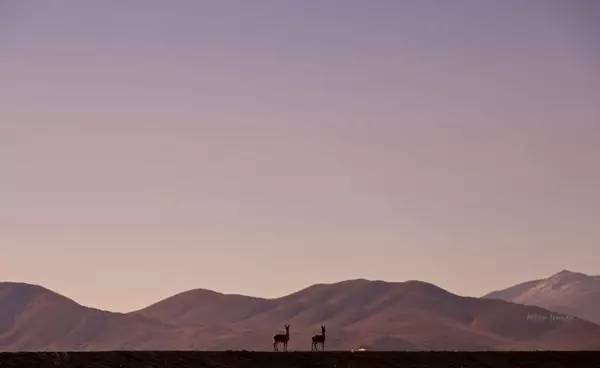 摄影师炼成之路