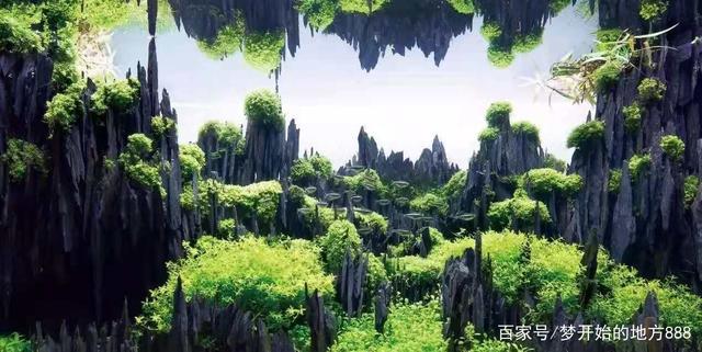 绝版大自然图鉴