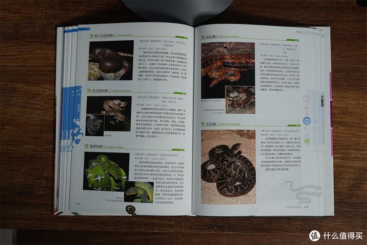 绝版大自然图鉴