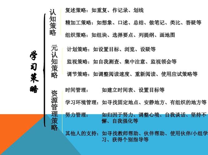 学习指导和策略的教育书籍