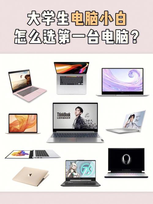 电脑爱好者的理想选择