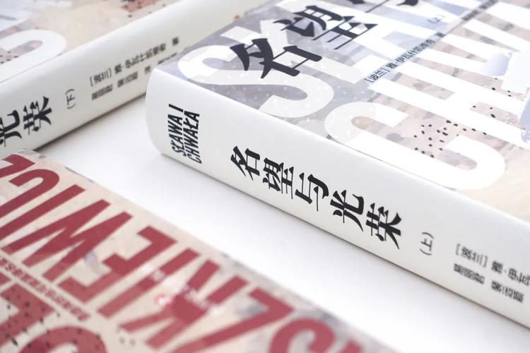 2021年度中国文学非小说类TOP10电子书（epub、mobi、a放飞自我3格式）