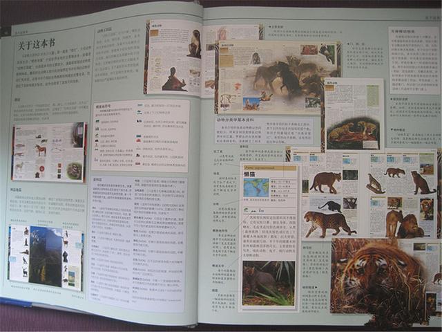 百科全书合集5000本，快速查询百科知识