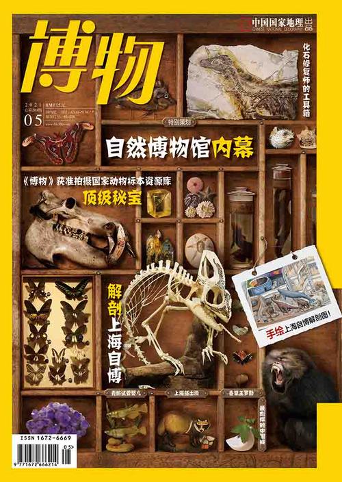 博物杂志2020年全年合集