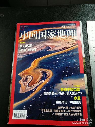 中文期刊杂志