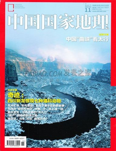 中文期刊杂志
