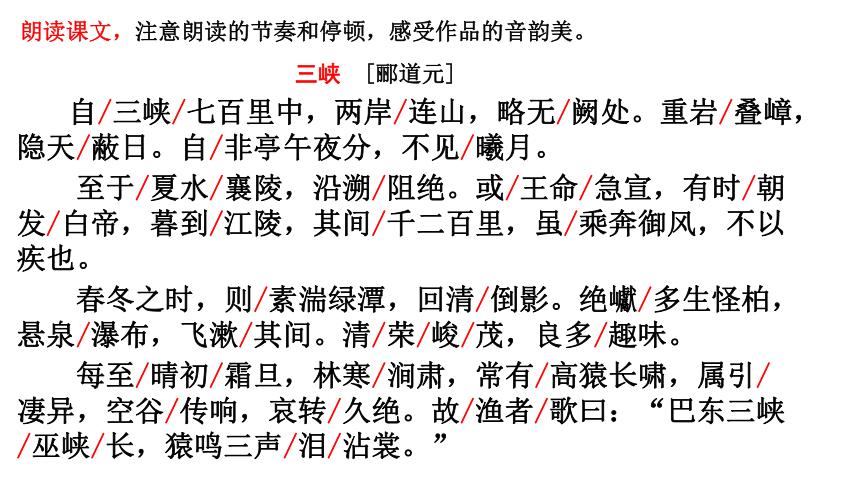 菜根阁电子书畅销整站，容量超过100G