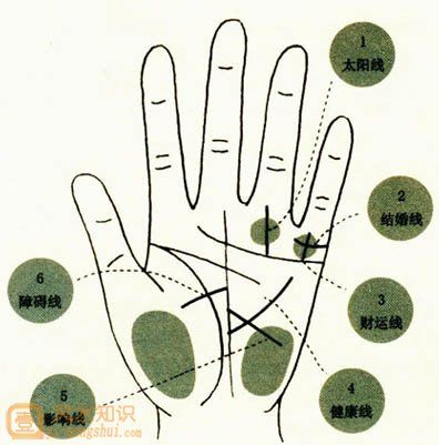 图解教学：了解手相、掌相和掌纹的指南