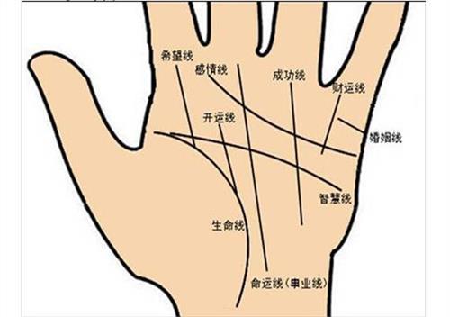 图解教学：了解手相、掌相和掌纹的指南