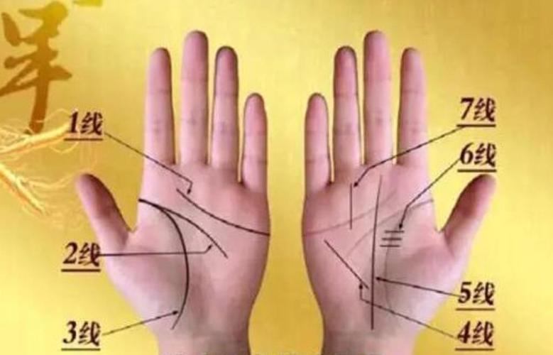 图解教学：了解手相、掌相和掌纹的指南