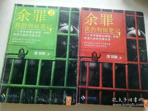 余罪：刑侦笔记大全集