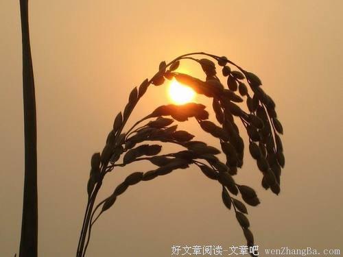 充满希望的书籍：迎接每一天（10册）