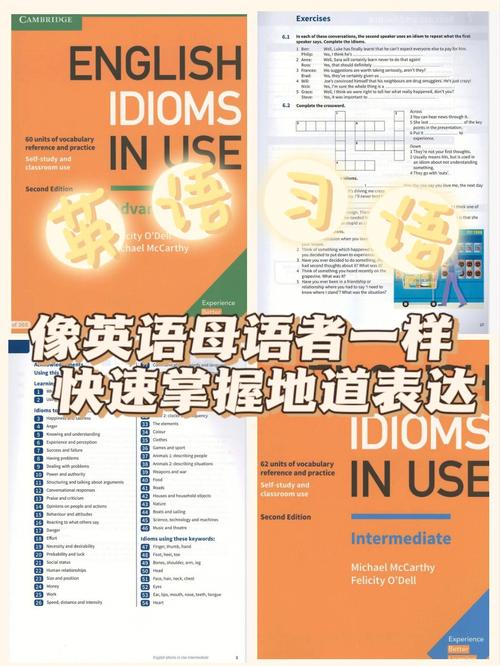 优质英语自学书籍：剑桥英语在用全系列，包含语法、词汇、口语、固定搭配、俗语和短语动词。