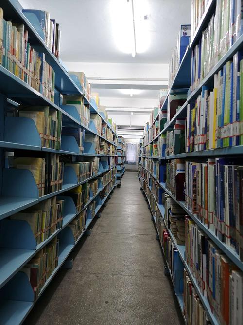 书库收藏了丰富多样的图书资源，包括小说、散文、诗歌、历史、科学等各个领域的经典作品。
