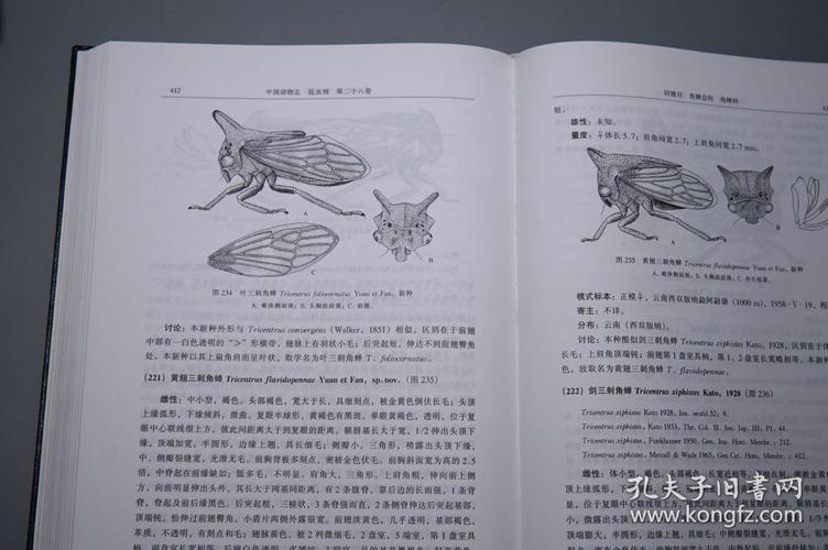 动物世界的精彩文献