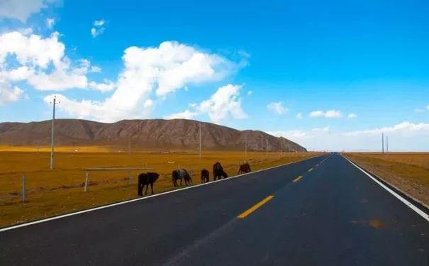 唱自己的故事：路上的车