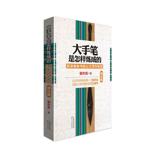大手笔:资深秘书的公文写作秘笈