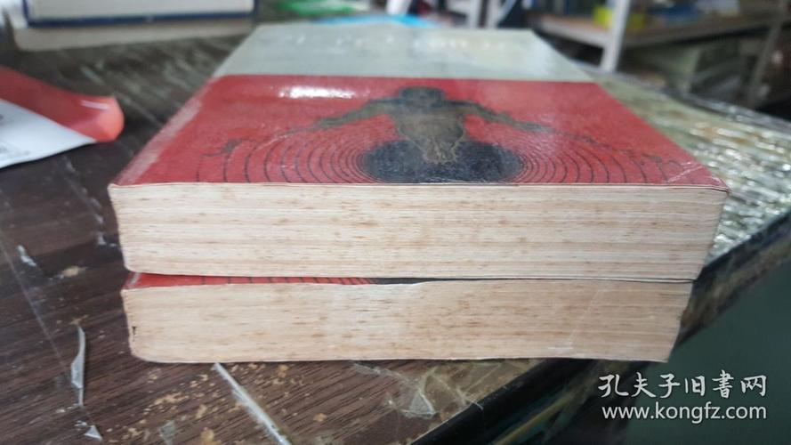 好评的苏联小说《生存与命运》