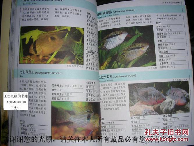 全世界300种鱼彩se+tu鉴PDF