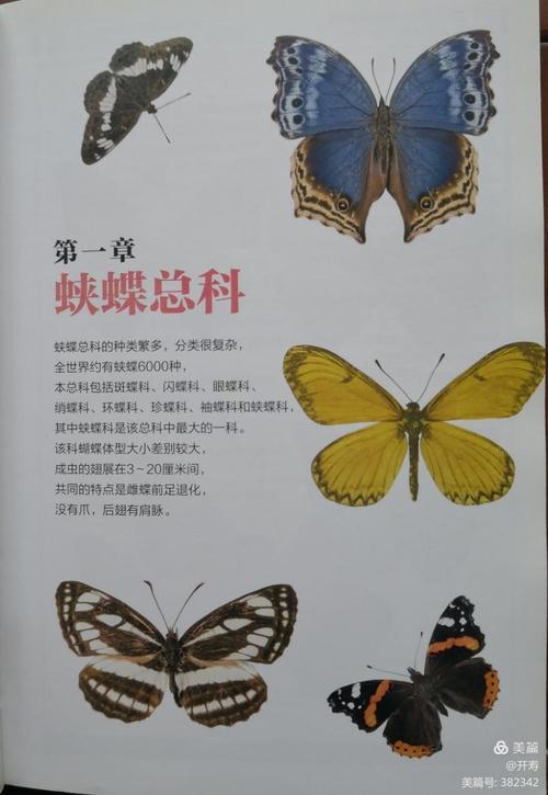 彩se+tu鉴：全球500多种蝴蝶，5本PDF