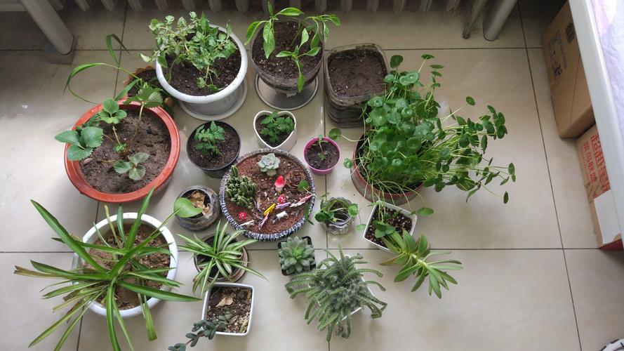 家庭养花：300问，5本PDF