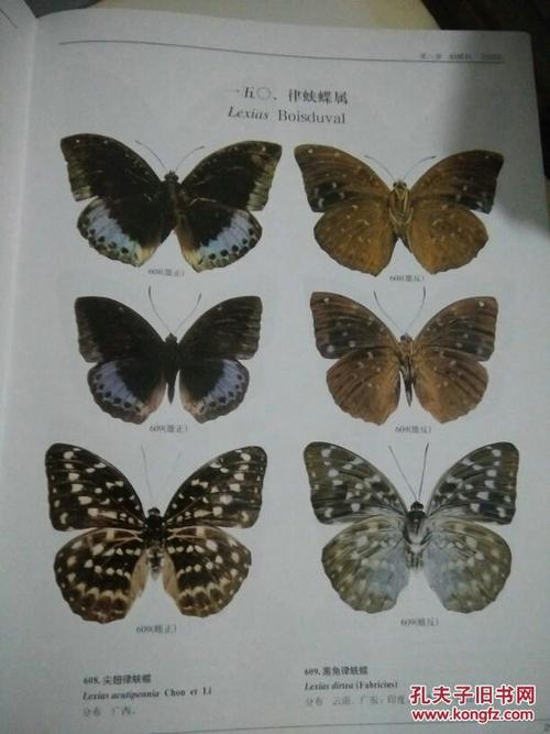 中国昆虫生态大图鉴初级教程