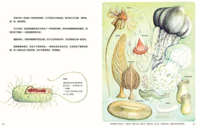 解码40亿年的生命史