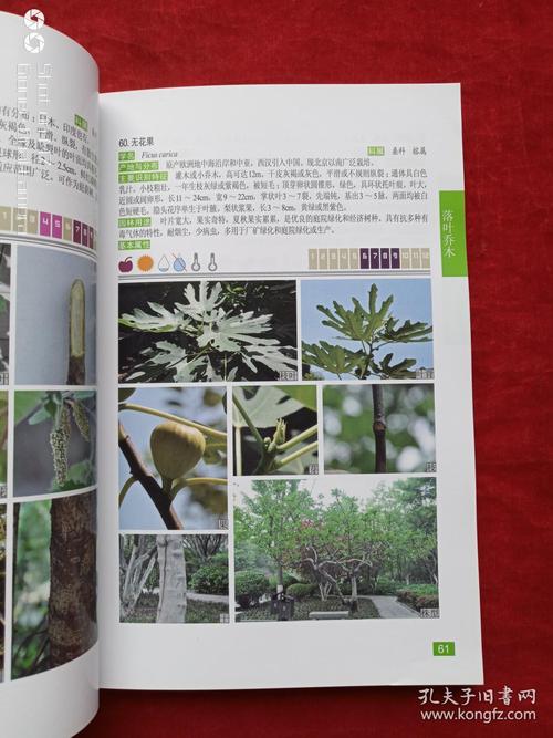 《全世界树木se+tu鉴》500多种树木全5本PDF